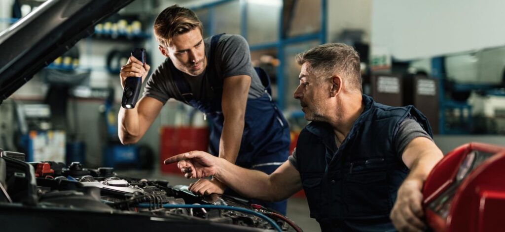 Courses - Pearl Migration &Amp; Education Consultants - 2025